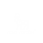 NOVO 300